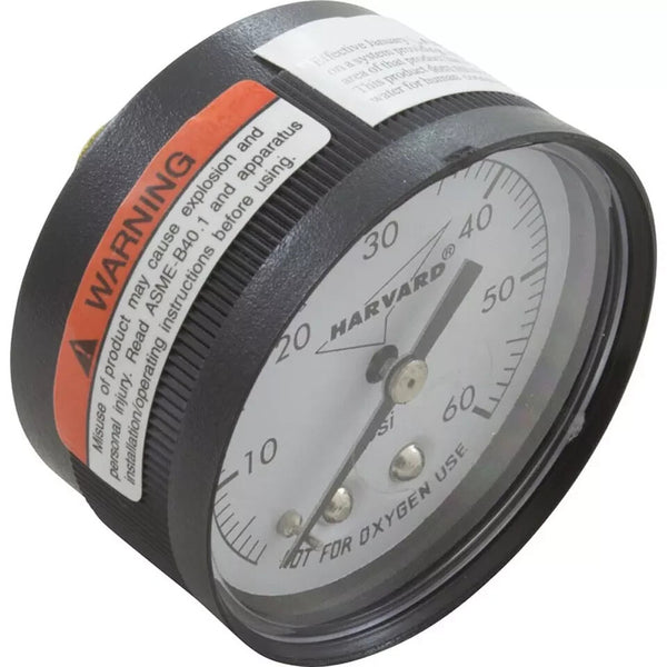 Horizon Spa & Pool Parts IPPG602-4B Pressure Gauge, 1/4"mpt, 0-60psi, Back Mount