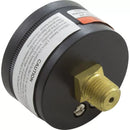 Horizon Spa & Pool Parts IPPG602-4B Pressure Gauge, 1/4"mpt, 0-60psi, Back Mount