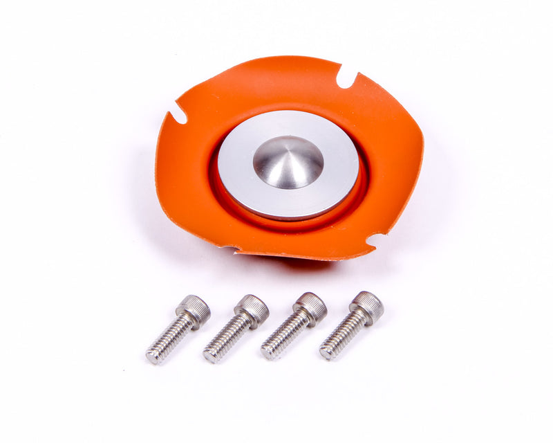 AEROMOTIVE Regulator Service Kit 13006