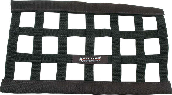ALLSTAR PERFORMANCE Low Profile Window Net 10 x 18 ALL10248