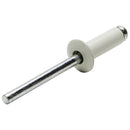 ALLSTAR PERFORMANCE Sm Hd Rivet White 250pk ALL18001