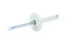 ALLSTAR PERFORMANCE Lg Hd Rivet White Alum 250pk ALL18051