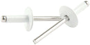 ALLSTAR PERFORMANCE Lg Hd Rivet White Alum 250pk ALL18158