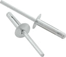 ALLSTAR PERFORMANCE Md Hd Rivet 250Pk Silver Flange Type Alum Mandrel ALL18183