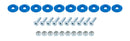 ALLSTAR PERFORMANCE Countersunk Bolt Kit Blue 10pk ALL18683