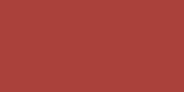 ALLSTAR PERFORMANCE 4x8 Plastic Red .100in ALL22462