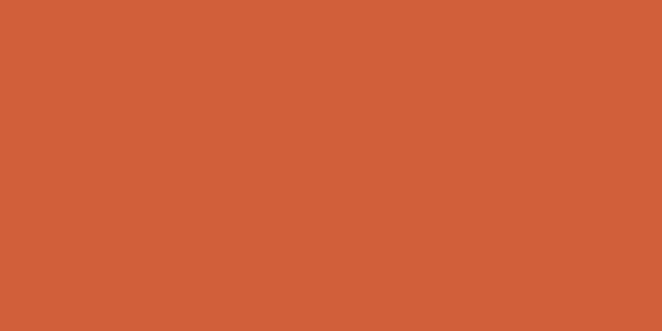 ALLSTAR PERFORMANCE 4x8 Plastic Orange .100in ALL22465