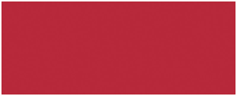 ALLSTAR PERFORMANCE Aluminum Red/Red 4x10-1/2 ALL22484