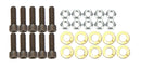 ALLSTAR PERFORMANCE Brake Rotor Bolt Kit 5/16in-24 ALL42036