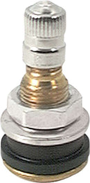 ALLSTAR PERFORMANCE Brass Valve Stems Bolt In 10pk ALL44134-10