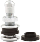 ALLSTAR PERFORMANCE Chrome Valve Stem Bolt-In ALL44135