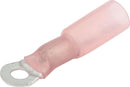 ALLSTAR PERFORMANCE Ring Terminal
