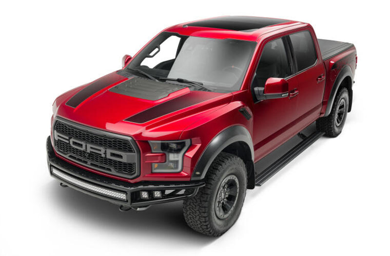 AMP RESEARCH PowerStep Smart Series 21- Ford F150 86152-01A