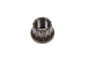 ARP 5/16-24 12pt. Nut (1) 300-8301