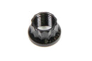 ARP 7/16-20 12pt. Nut (1) 300-8303