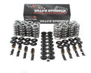 BRIAN TOOLEY RACING Platinum LS Dual Springs .660in Lift SK001/S/0545/BB