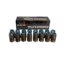 BRIAN TOOLEY RACING GEN 5 Beehive Springs - .550 Lift (16) BTR91120-16