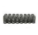 BRIAN TOOLEY RACING LS6 Beehive Springs .560 Lift (16) SP011-16
