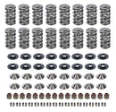 CAM MOTION INC GM LS Dual Valve Spring Kit .660 Dia. VSK143803