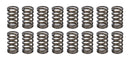 CROWER Valve Springs - 1.045 68195-16