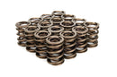 CROWER Valve Springs - Dual 1.405 68404-16