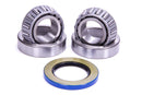 DIVERSIFIED MACHINE Bearing Race & Seal Kit For SRC1972 (1 Side) SRC-1990