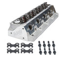 DART SBF SHP Cylinder Head 205cc/58cc - Assem. 128225