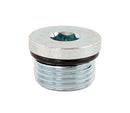 DART Pipe Plug 1/2 Allen - O-Ring Style 32892500
