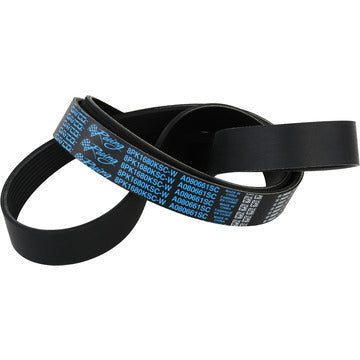 DAYCO PRODUCTS LLC Supercharger Belt ZL1 Camaro 12-15 A080661SC