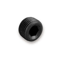 EARLS NPT Plug Allen Head 1/8 NPT (2pk) AT593202ERL