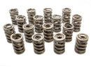 EDELBROCK Victor Series Valve Spring Set 5823