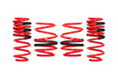 EIBACH Sportline Kit 2022-25 Honda Civic Type R E20-40-043-04-22