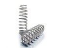 EIBACH Pro Lift-Kit Ford F-150 Raptor (FRT Spring Only) E30-35-038-01-20