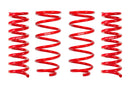 EIBACH Pro Lift Kit 2021-22 Toyota 4Runner TRD E30-82-071-04-22
