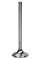 FERREA SBC C/P 1.600 Exhaust Valve F1811P-1