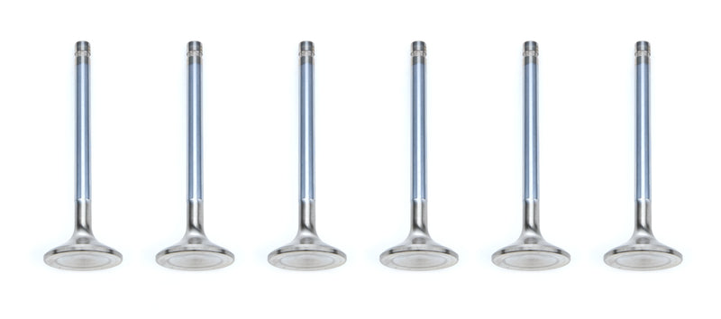 FERREA Buick V6 C/6 1.500in Exhaust Valves F6237-6