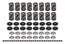 FERREA Endurance Dual Spring Kit Honda/Acura1.6/1.8 KT4001