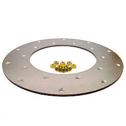 FIDANZA ENGINEERING Flywheel Insert Plate 221101
