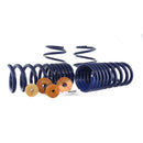 FORD Track Lowering Spring Kit 15-23 Mustang M-5300-YA