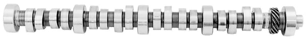 FORD 5.0L Roller Camshaft M-6250-F303