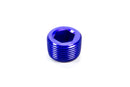 FRAGOLA 3/4 MPT Allen Pipe Plug 493206