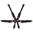 G-FORCE 6pt Harness Camlock HNR Indiv P/U Black FIA 7622BK