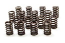 CHEVROLET PERFORMANCE 1.250 Valve Springs - SBC for 602 Crate Engine 19154761