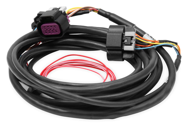 HOLLEY Dominator EFI DBW Harness - Early Truck 558-429
