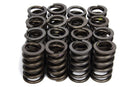 HOWARDS RACING COMPONENTS 1.265 Valve Springs w/ Damper 98213RS