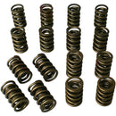 HOWARDS RACING COMPONENTS Dual Valve Springs - 1.437 98432