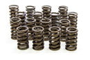 ISKY CAMS 1.260in Valve Springs 295D