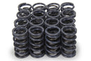 ISKY CAMS 1.240 Dual Valve Springs 4005