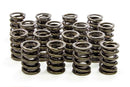 ISKY CAMS Dual Valve Springs w/Damper - LS1 6105SP