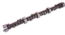ISKY CAMS Buick 215 Hyd Camshaft 621262